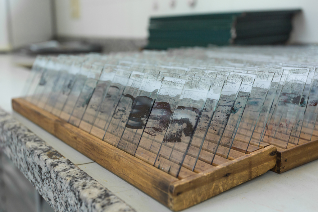 Clique para expandir