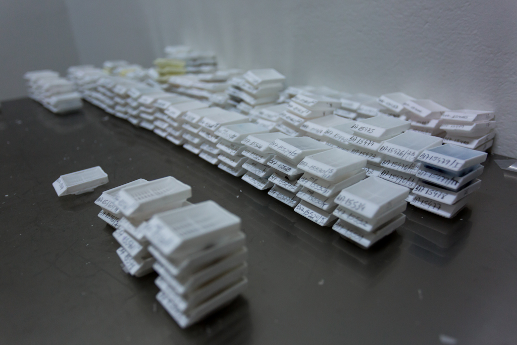 Clique para expandir