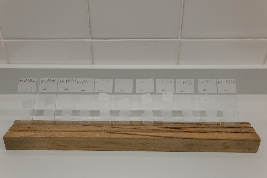 Clique para expandir