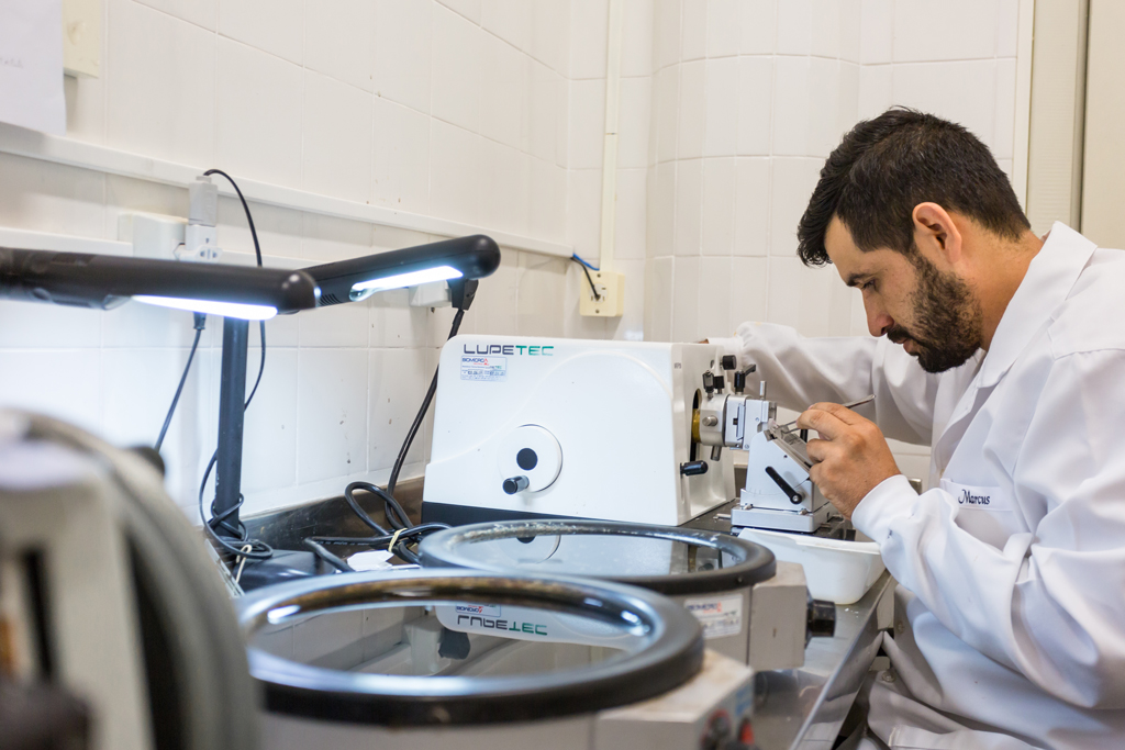 Clique para expandir