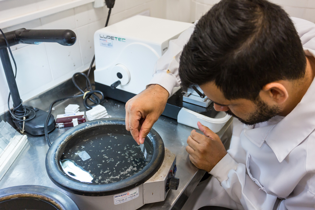 Clique para expandir