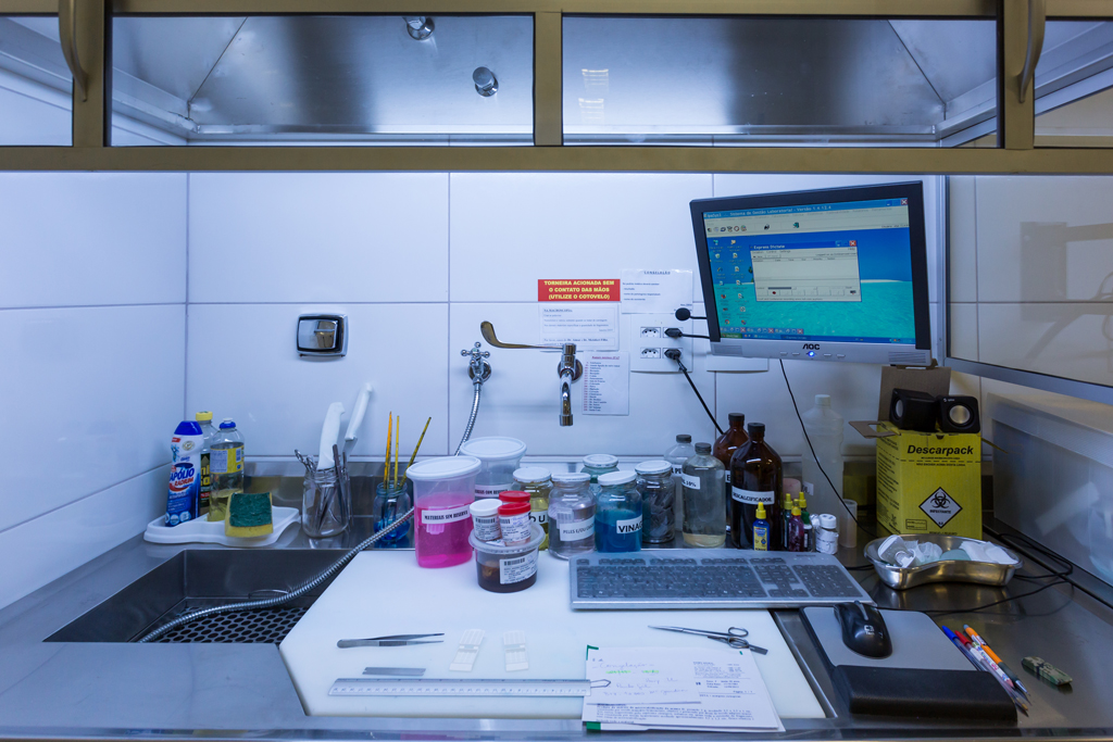 Clique para expandir