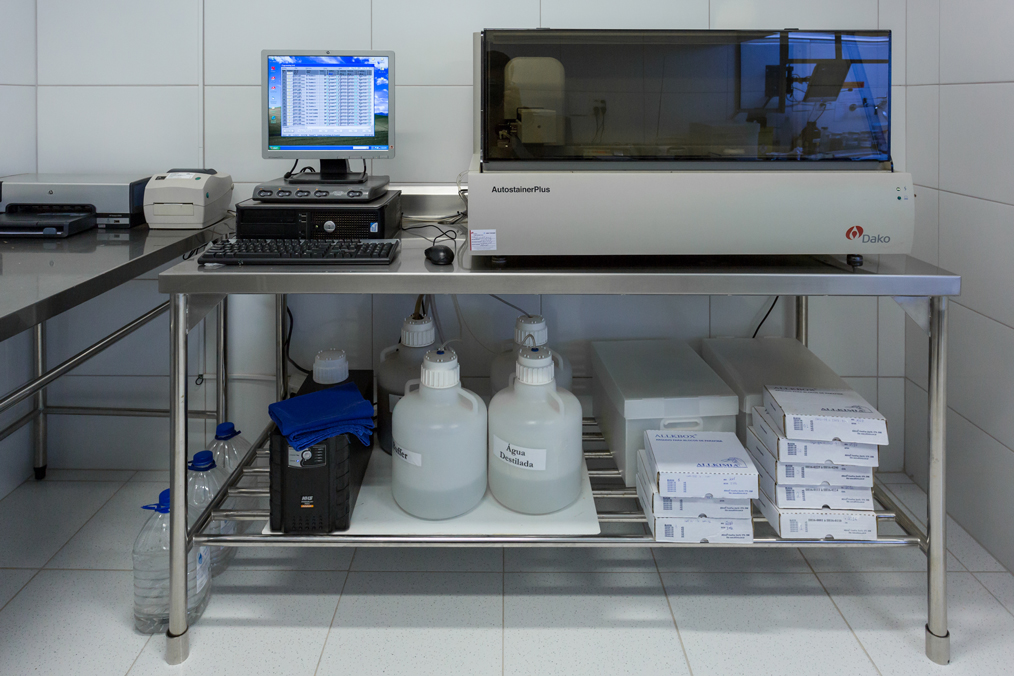 Clique para expandir