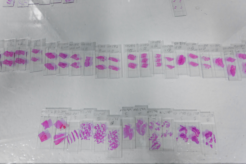 Clique para expandir