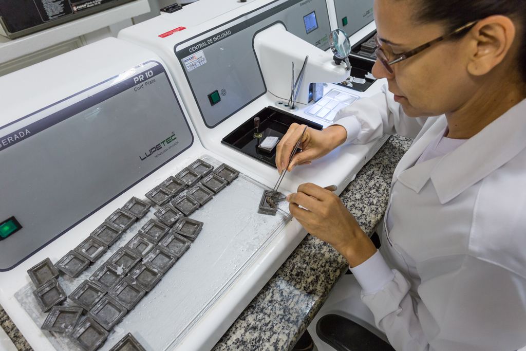 Clique para expandir